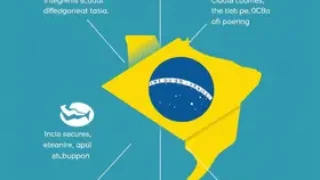siglas do INSS