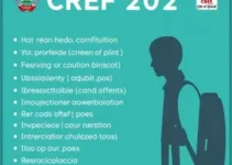 Concurso CREF 2025