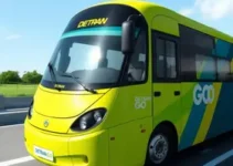 Detran GO Reclamações