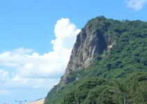 empregos em Goiânia 2025