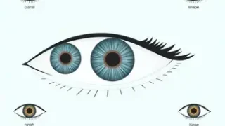 formatos de olhos